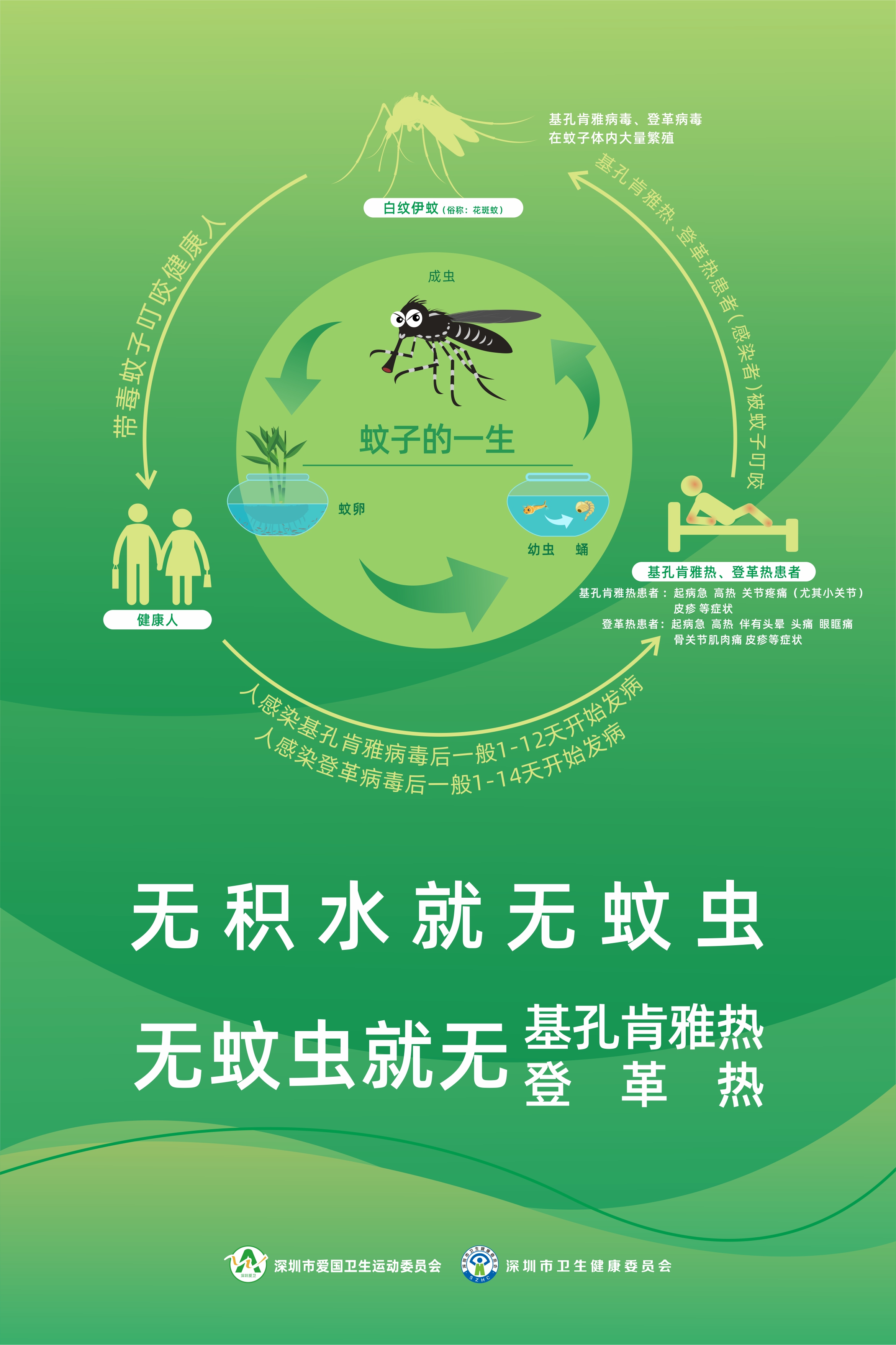 竖.jpg